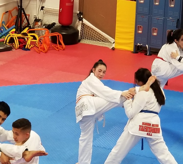 national-academy-taekwondo-usa-photo
